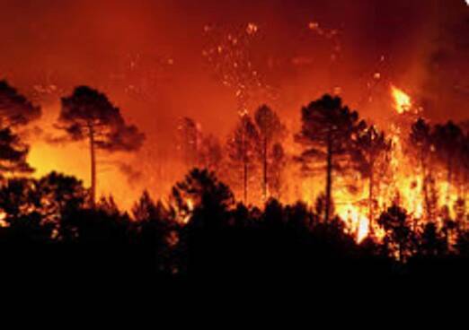 La liste des bois et forêts exposés au risque d’incendie est mise à jour par l’arrêté du 20 mai 2025